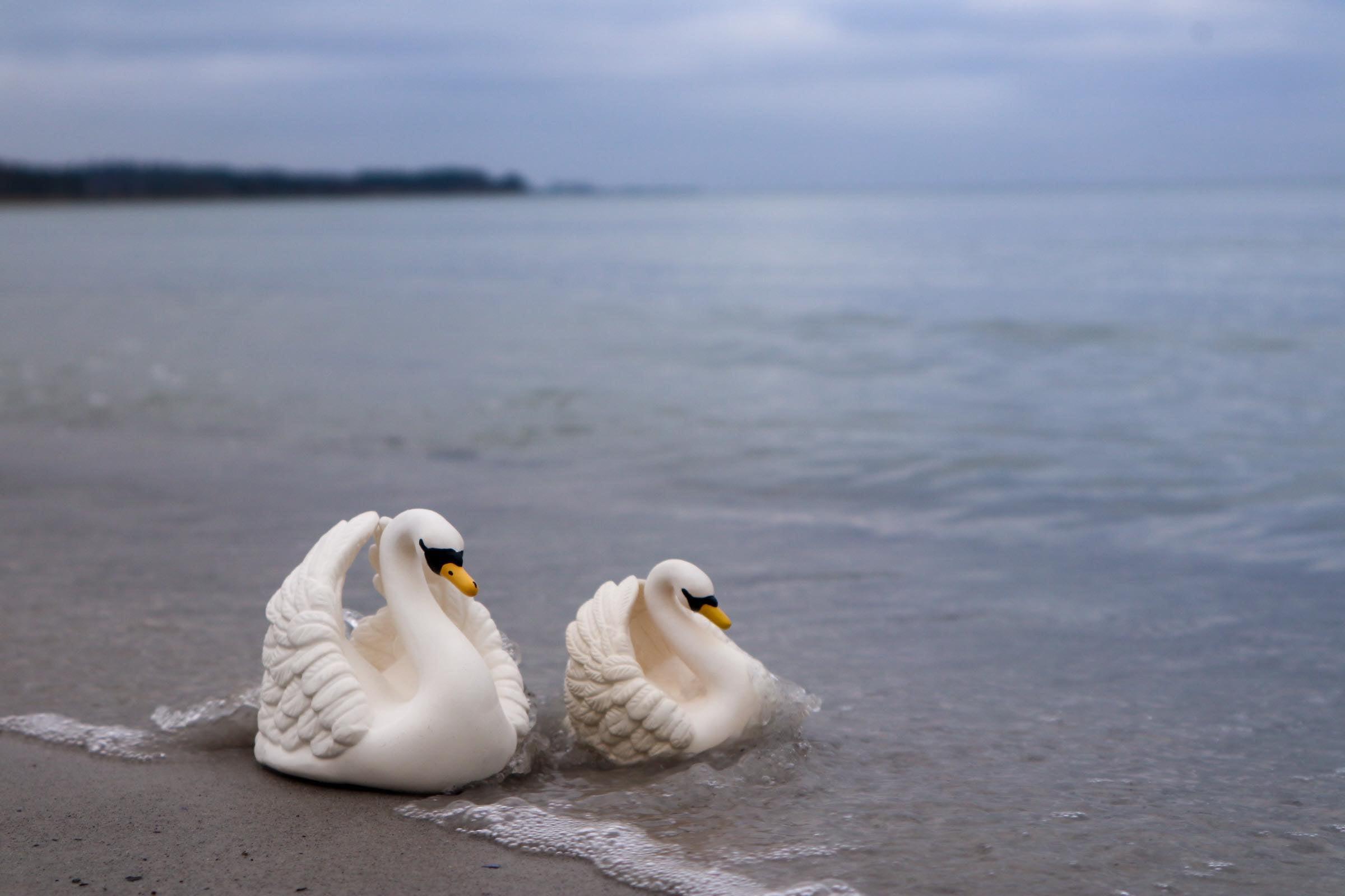 Natruba Badespielzeug aus Naturkautschuk – Schwan – Groß – Badespielzeug – MamaMilla