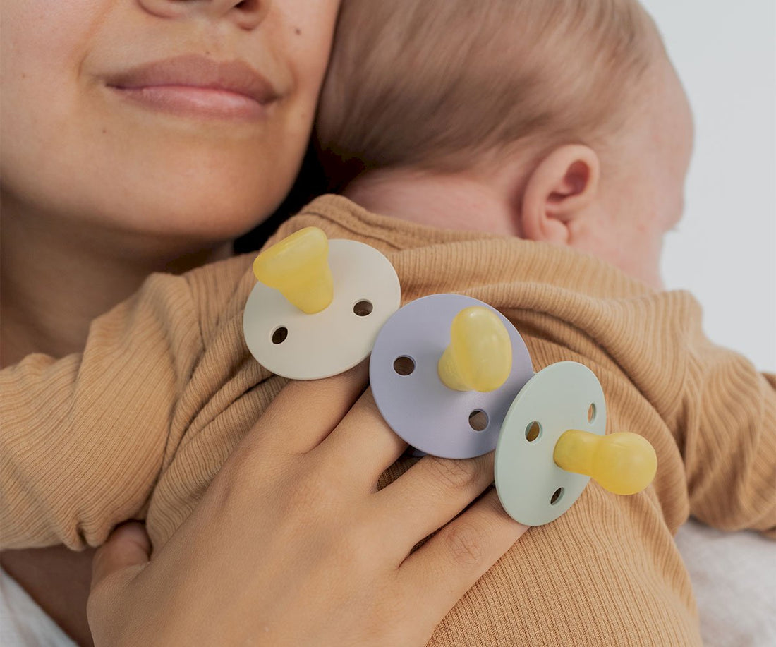 BIBS Colour Rundsauger Gr. 2, Latex – Woodchuck/Blush (2er-Pack)